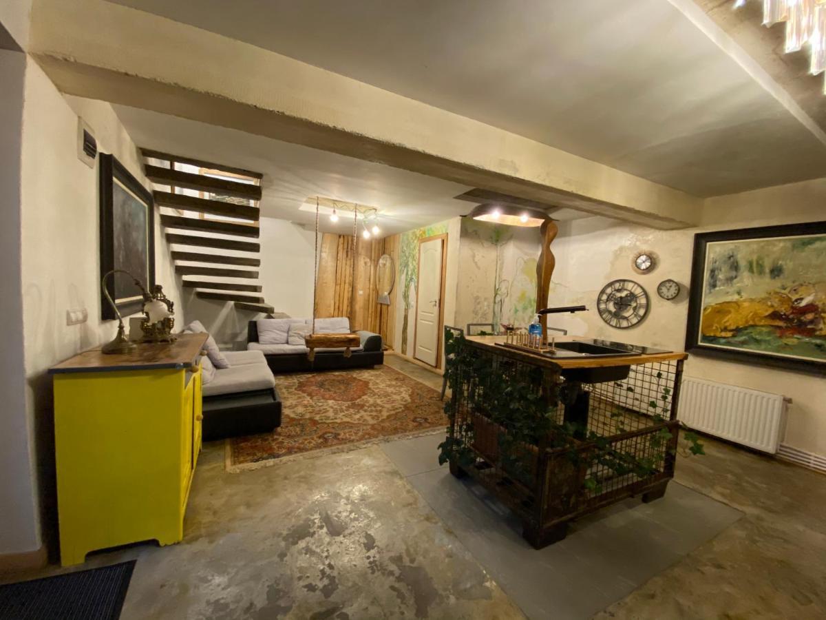 Apartament Art Cluj المظهر الخارجي الصورة